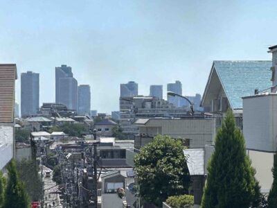 近隣からの眺め　雪谷大田区随一の田園調布の隣です。多摩川を挟んで武蔵小杉のビル群が見渡せます。
