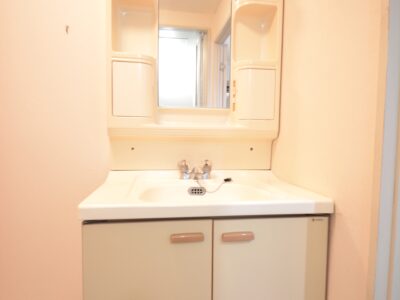 洗面（別部屋同型タイプ）