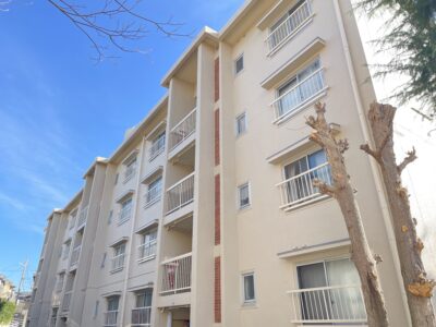 【食糧支援や就労支援付/日当たり良好】宝塚市営鳥島住宅１号棟